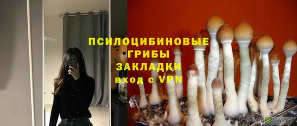 соль ск Алексин