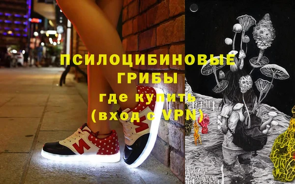 соль ск Алексин