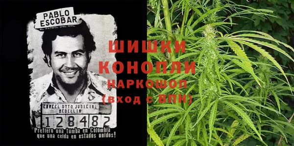 соль ск Алексин