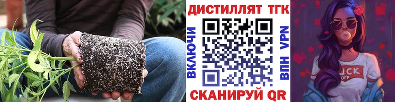 купить наркоту  MEGA зеркало  Дистиллят ТГК вейп  Оленегорск 