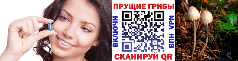 Псилоцибиновые грибы MAGIC MUSHROOMS  Оленегорск 