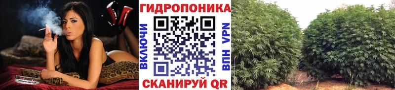 Марихуана сатива Оленегорск